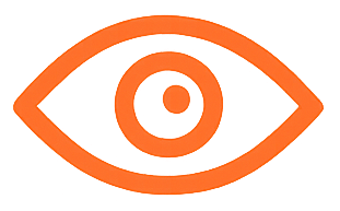 Vision